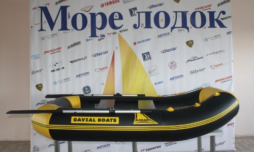 Купить надувную ПВХ лодку Гавиал 240 Элегант в городе Рыбинск, фото 1, Ярославская область