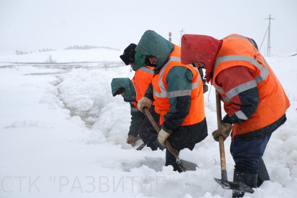 Вывоз снега Пушкинский район в городе Санкт-Петербург, фото 1, Ленинградская область