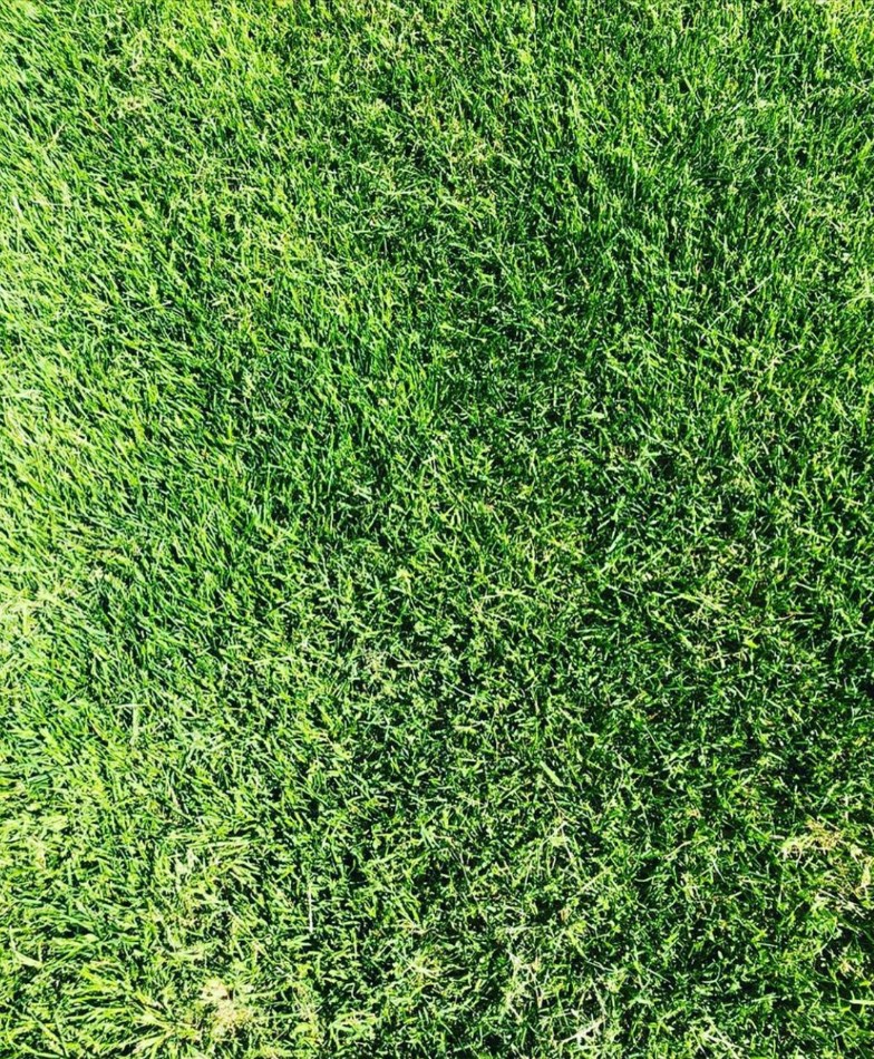 Рулонные газоны Сочи. Красиво и удобно в городе Сочи, фото 3, Другое