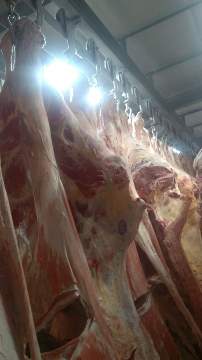 мясо говядина в городе Нижневартовск, фото 3, телефон продавца: +7 (996) 592-64-25