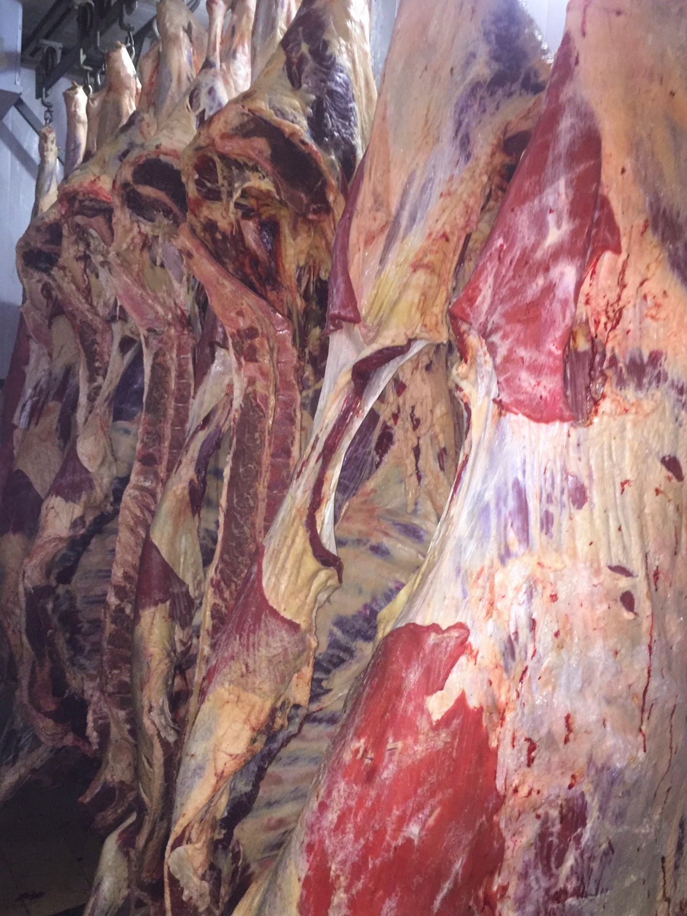 мясо говядина в городе Нижневартовск, фото 1, Ханты-Мансийский автономный округ