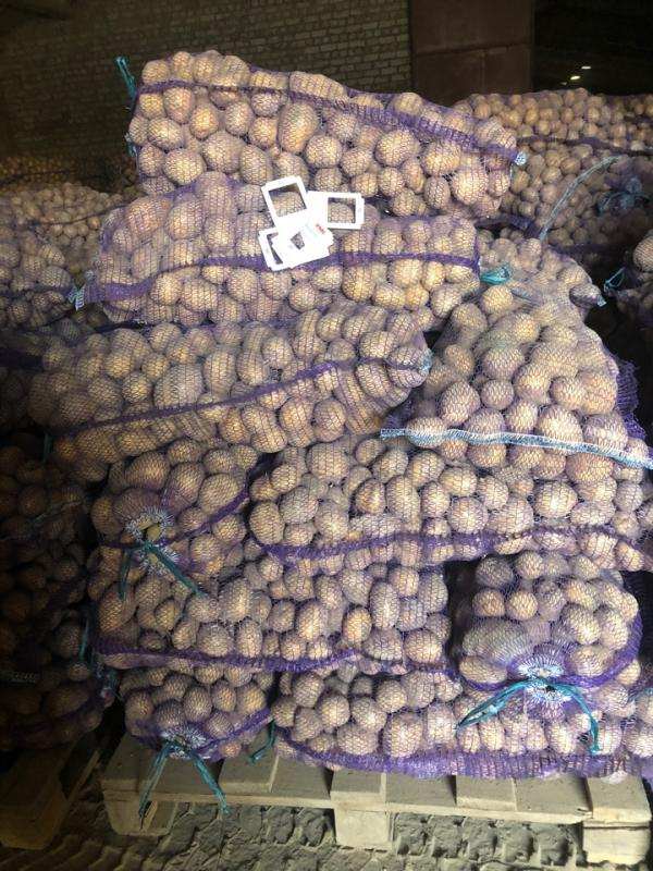 Продается картофель оптом от производителя, Спас-Клепики в городе Рязань, фото 3, стоимость: 14 руб.
