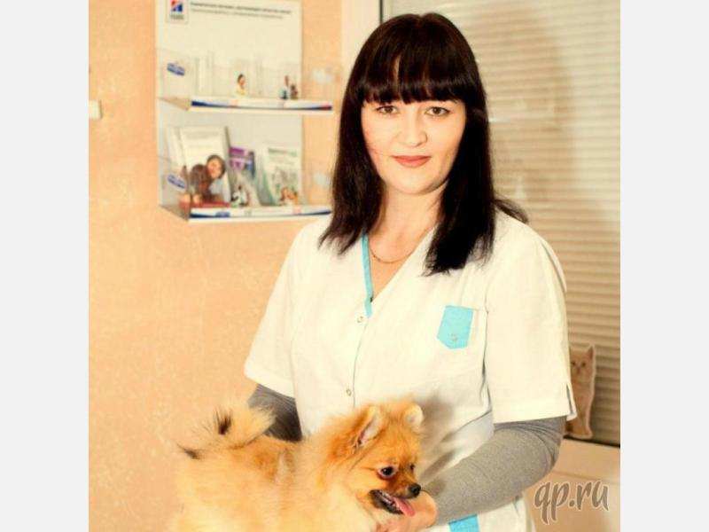 Лечение и консультация мелких домашних животных.  в городе Кострома, фото 2, телефон продавца: +7 (920) 389-59-70