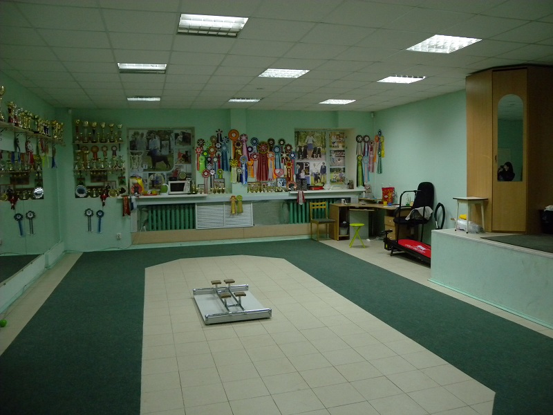 Нежилое помещение свободного назначения в городе Чебоксары, фото 6, телефон продавца: +7 (927) 667-02-07