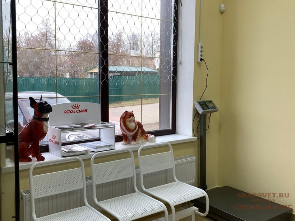 Ветклиника Снежный Барс в Можайске предоставляет весь спектр ветеринарных услуг. в городе Можайск, фото 3, телефон продавца: +7 (963) 610-20-10