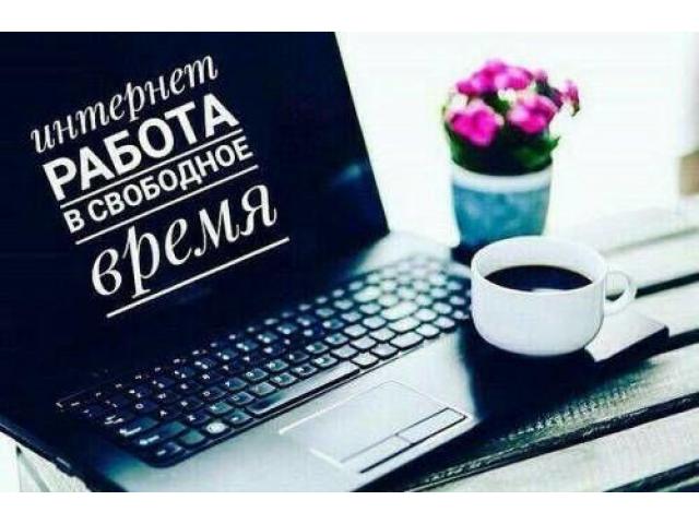 В онлайн проект требуется куратор. в городе Николаевск-на-Амуре, фото 1, Адыгея