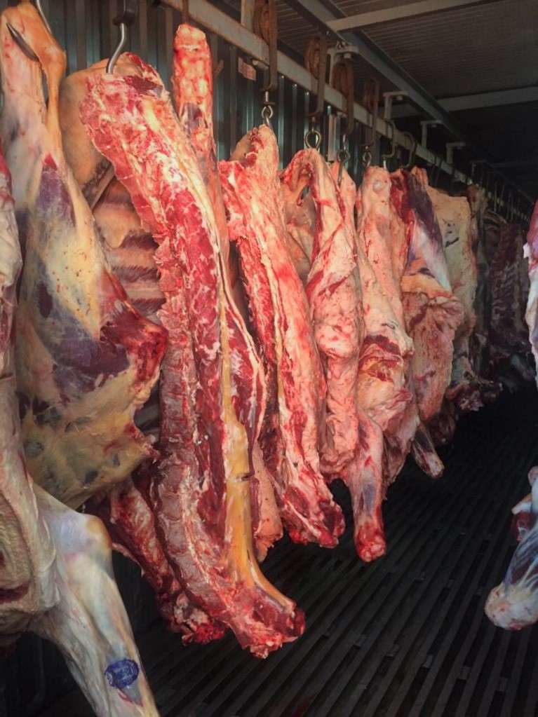 мясо говядина оптом в городе Новый Уренгой, фото 2, телефон продавца: +7 (912) 242-68-90