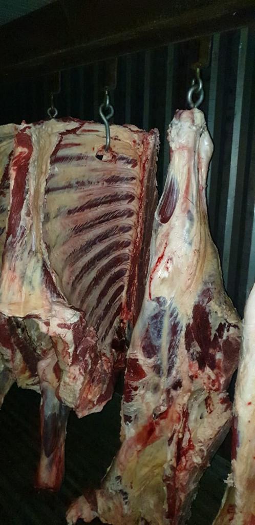 мясо говядина оптом в городе Новый Уренгой, фото 1, стоимость: 235 руб.