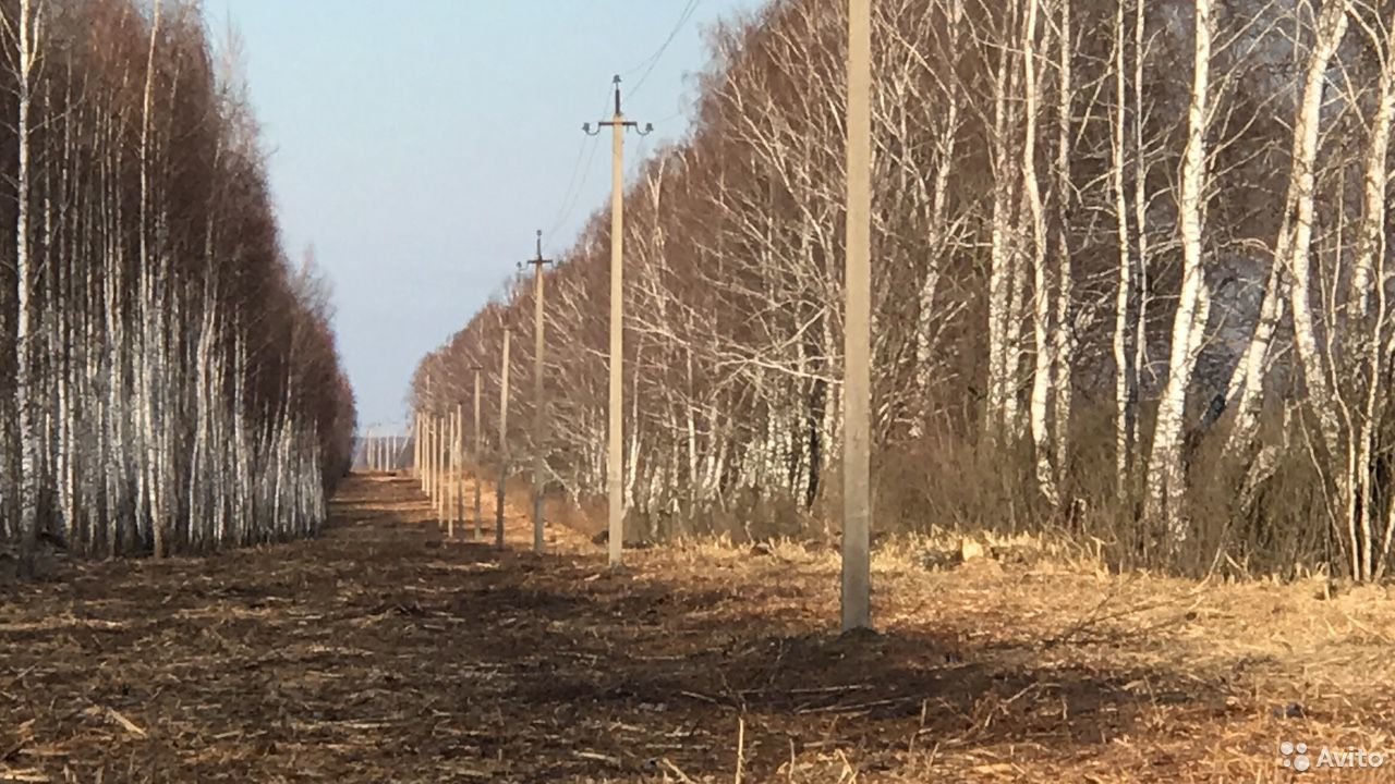 Аренда мульчера и рубильной машины по области в городе Севастополь, фото 9, Крым