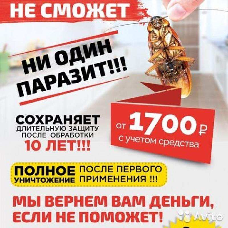 Дезинфекция от вирусов и тараканов в городе Краснодар, фото 1, телефон продавца: +7 (988) 332-16-26