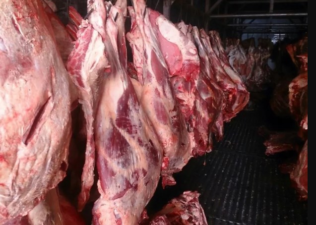 Мясо-говядина порода СИММЕНТАЛЬСКАЯ в полутушах в городе Уренгой, фото 1, Ямало-Ненецкий автономный округ