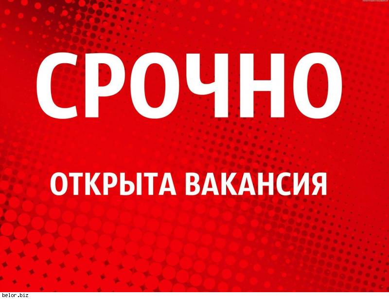  Дневная подработка в интернет-магазине в городе Грозный, фото 1, телефон продавца: +7 (960) 507-46-72