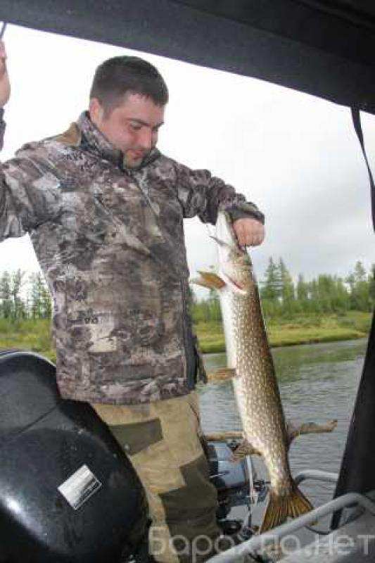 Эксклюзивная охота и рыбалка в Туруханском районе в городе Иркутск, фото 6, телефон продавца: +7 (391) 205-25-25