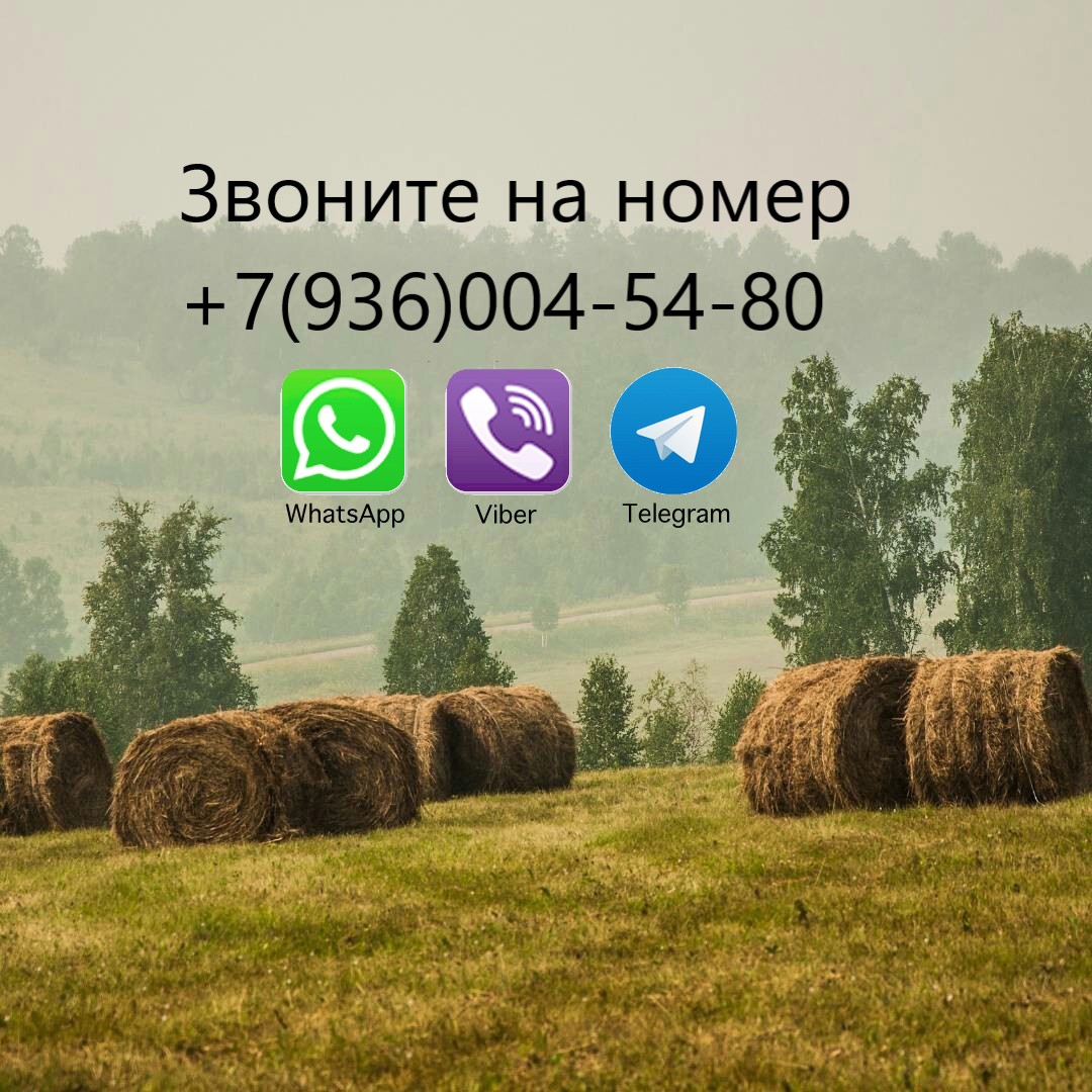 Сдается 1-км квартира по адресу: Октябрьская 2 в городе Княгинино, фото 2, Долгосрочная аренда квартир