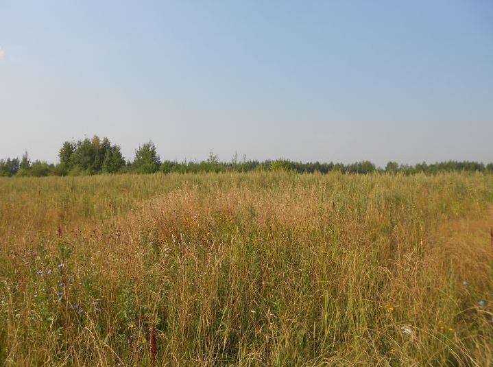 Продам участок сельхозназначения 64 ГА ЧЕРНОЗЕМ! в городе Михайлов, фото 3, стоимость: 3 200 000 руб.