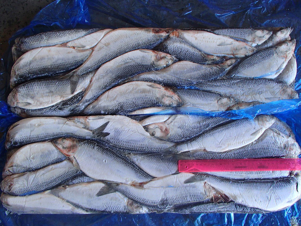 Свежемороженая Рыба, ОПТ цены в городе Санкт-Петербург, фото 2, телефон продавца: +7 (911) 146-68-72
