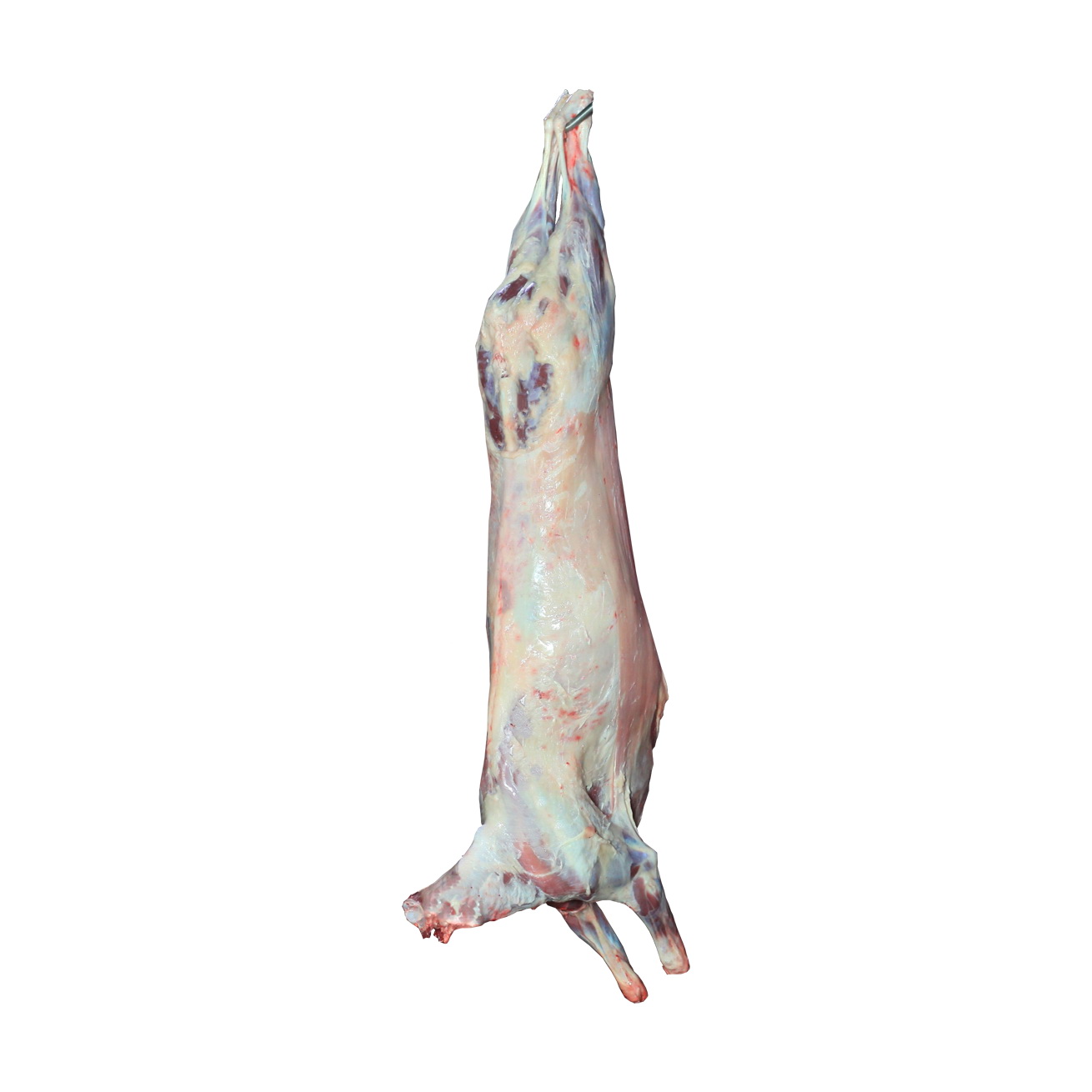 Мясо оптом, говядина, свинина, курица, субпродукты в городе Сергиев Посад, фото 4, Другое