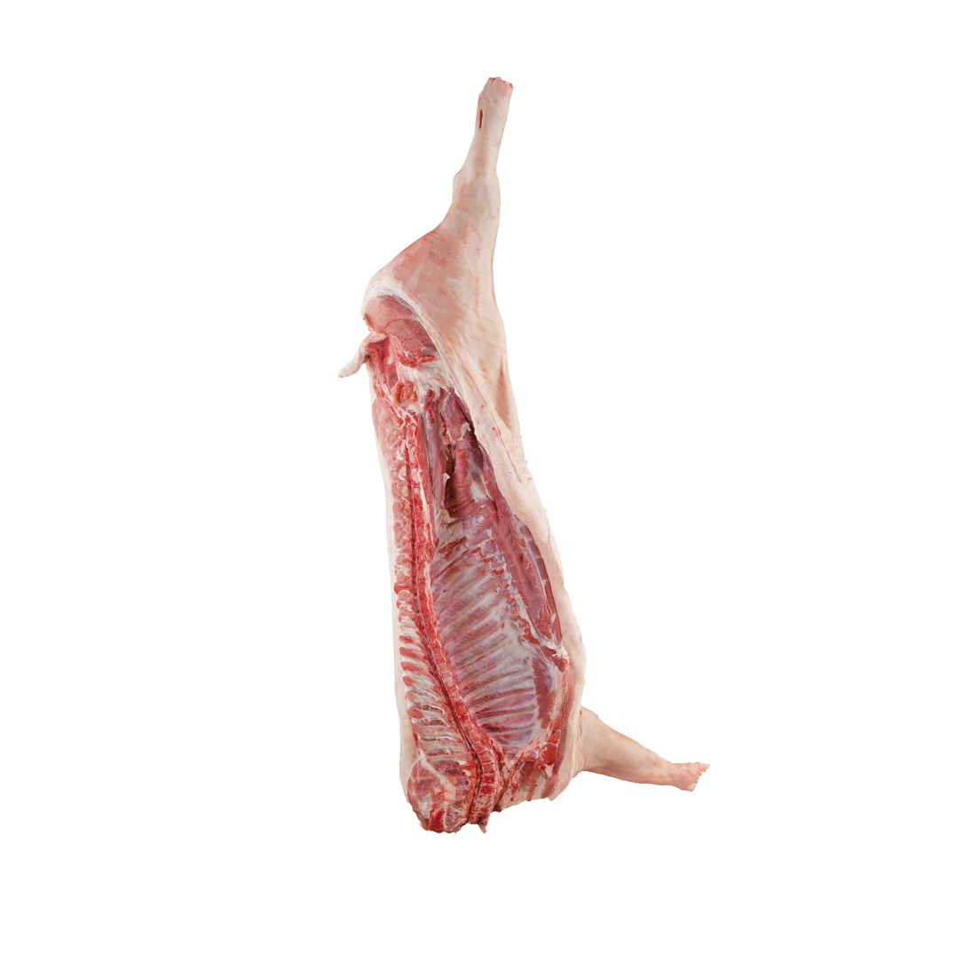 Мясо оптом, говядина, свинина, курица, субпродукты в городе Сергиев Посад, фото 3, стоимость: 1 000 руб.