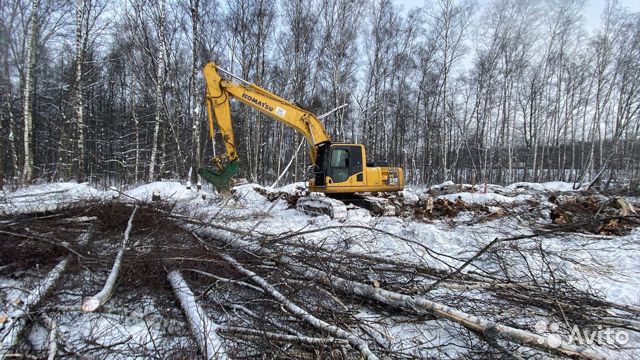 Утилизация корней пней порубочных остатков в городе Владимир, фото 1, Владимирская область