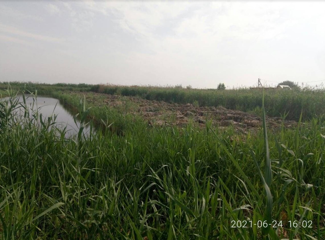 Земельные участки в лимано-плавневой зоне, для рыбалки и охоты. в городе Краснодар, фото 1, телефон продавца: +7 (961) 536-14-52