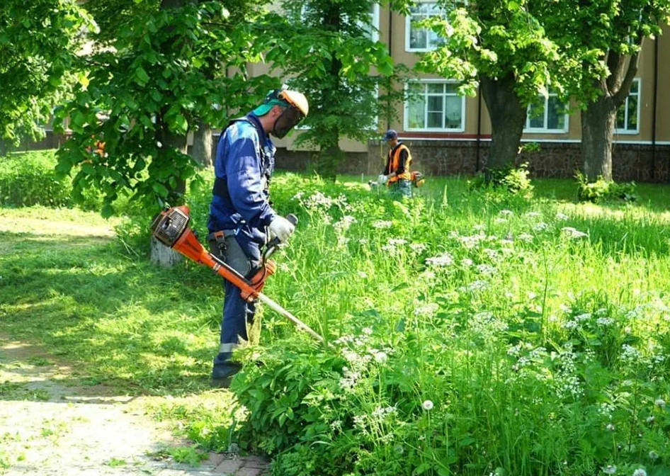 Строительство домов в Отрадном Воронежская область посадка растений в городе Воронеж, фото 2, стоимость: 450 руб.