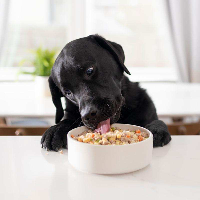 Наборы еды для собак, подобранные по рекомендации диетолога  в городе Краснодар, фото 2, телефон продавца: +7 (999) 636-05-23