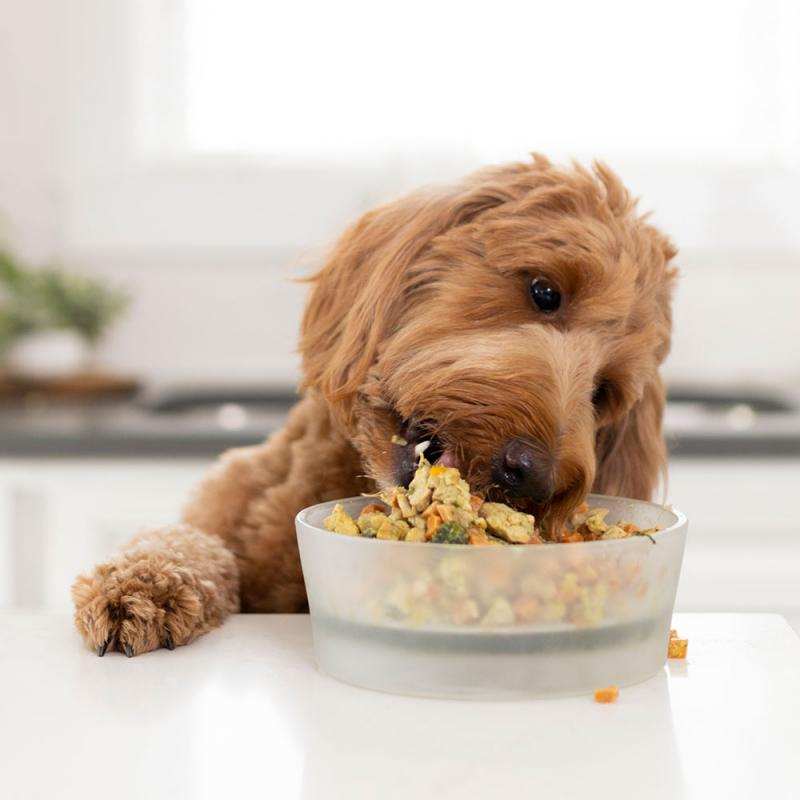 Наборы еды для собак, подобранные по рекомендации диетолога  в городе Краснодар, фото 4, Прочие услуги для животных