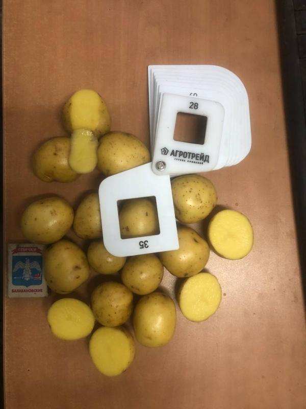 Картофель 35-45 оптом от производителя в городе Спас-Клепики, фото 6, Овощи и фрукты