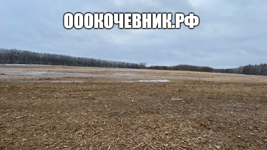 Расчистка территорий под масштабное строительство в городе Таганрог, фото 3, стоимость: 1 руб.