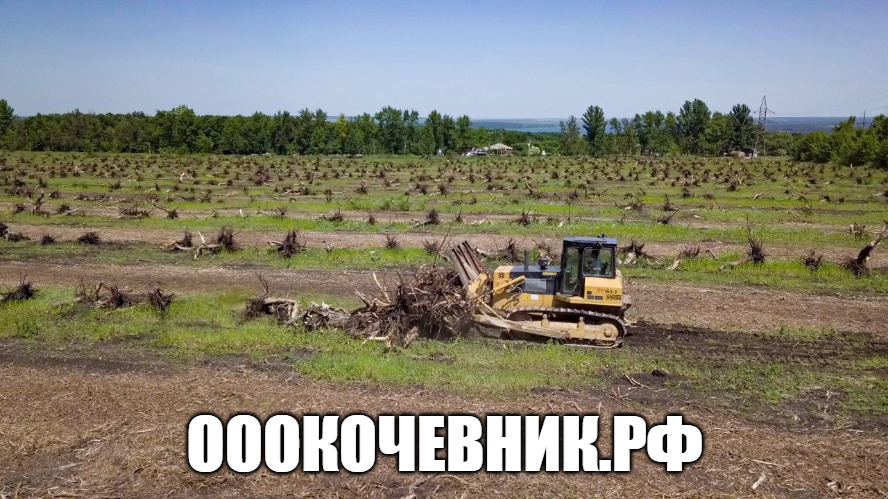Расчистка территорий под масштабное строительство в городе Таганрог, фото 8, Cтроительно-монтажные работы