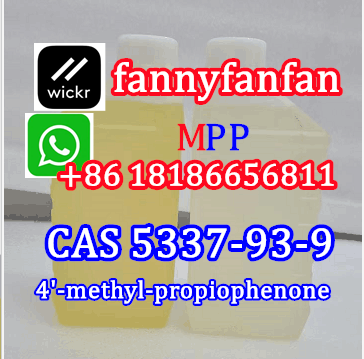4-MPF/4-MPP 4-methyl-propiophenone CAS 5337-93-9 в городе Выгоничи, фото 3, Брянская область