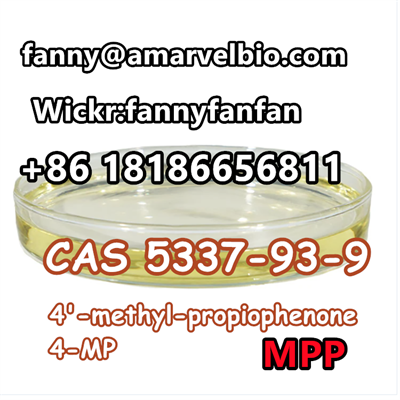 4-MPF/4-MPP 4-methyl-propiophenone CAS 5337-93-9 в городе Выгоничи, фото 9, стоимость: 10 руб.