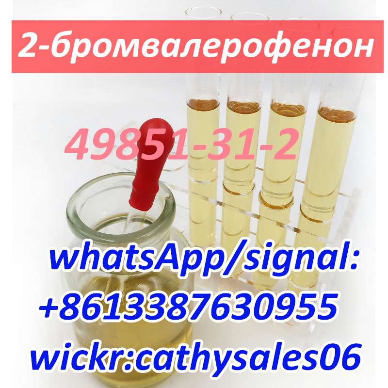 CAS 49851-31-2 2-Bromovalerophenone CAS 49851 31 2 China Reliable Supplier в городе Москва, фото 1, Московская область