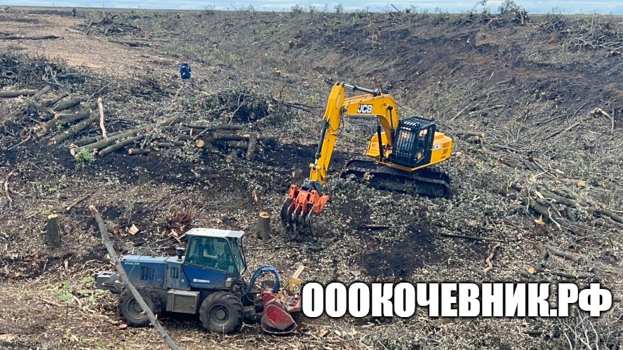  Вырубка, выкорчёвка, переработка в щепу деревьев и корней в городе Таганрог, фото 6, Аренда спецтехники и вывоз отходов