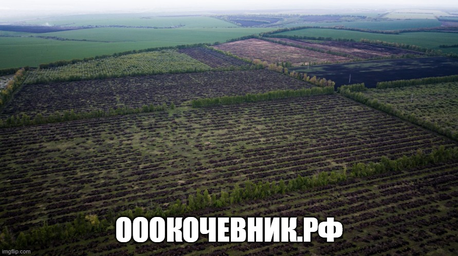  Вырубка, выкорчёвка, переработка в щепу деревьев и корней в городе Таганрог, фото 7, стоимость: 1 руб.