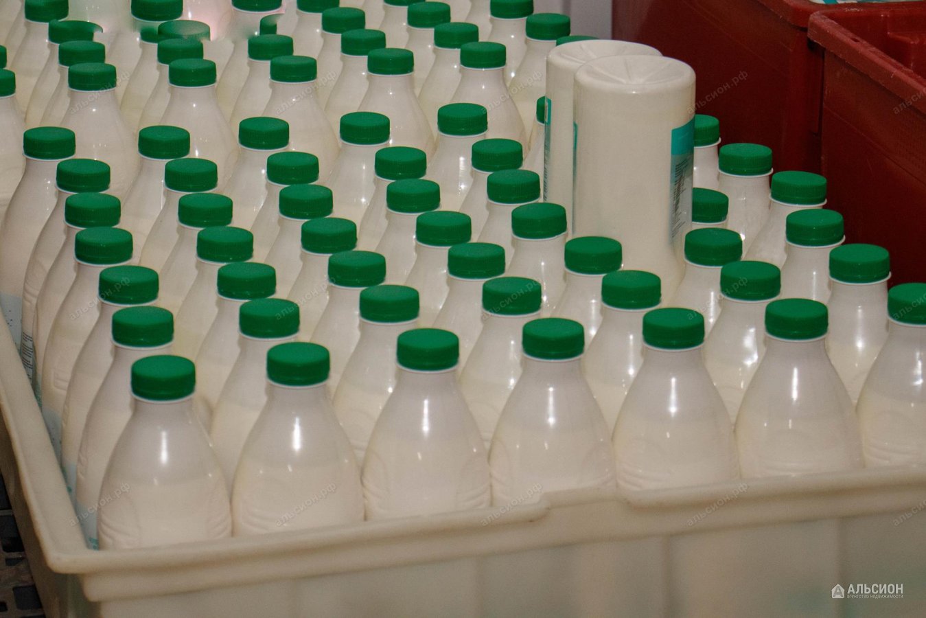 Продам молокозавод в Краснодарском крае в городе Краснодар, фото 1, Краснодарский край