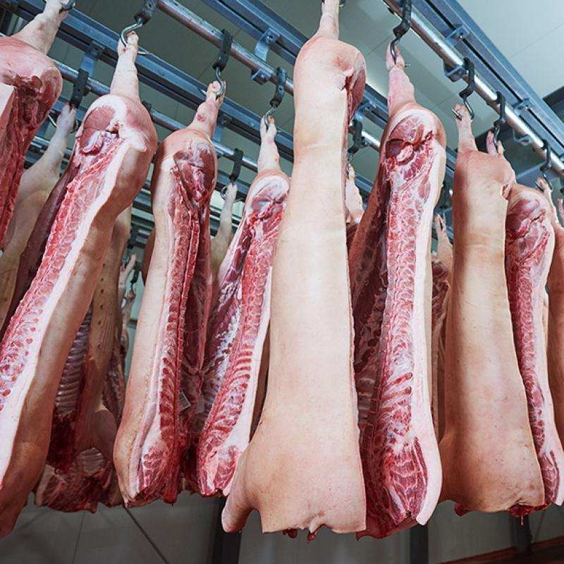 Оптом, мясо ЦБ, свинина, говядина, баранина в городе Курган, фото 1, Курганская область