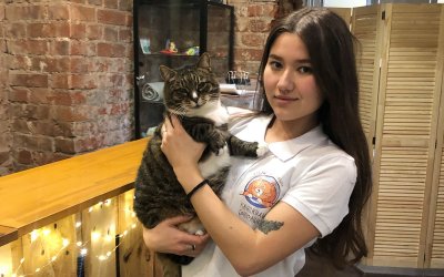 Зоо гостиница в Москве «Каникулы Бонифация» в городе Москва, фото 4, Кошки