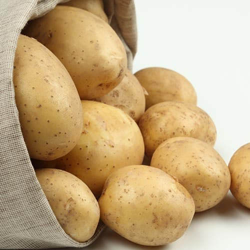 Овощи столового назначения и на переработку от оптового поставщика в городе Барнаул, фото 1, Алтайский край