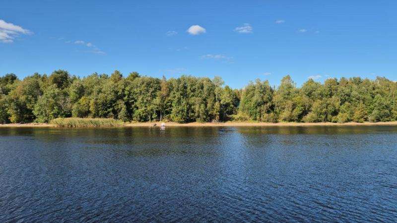 Земельный участок 25 соток в городе Лодейное Поле, фото 1, Ленинградская область