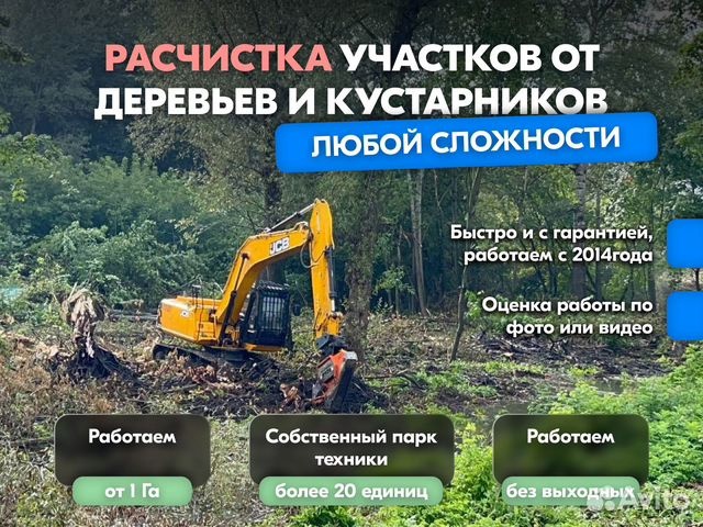 Расчистка территорий от деревьев и пней от 1 Га в городе Рязань, фото 1, Рязанская область