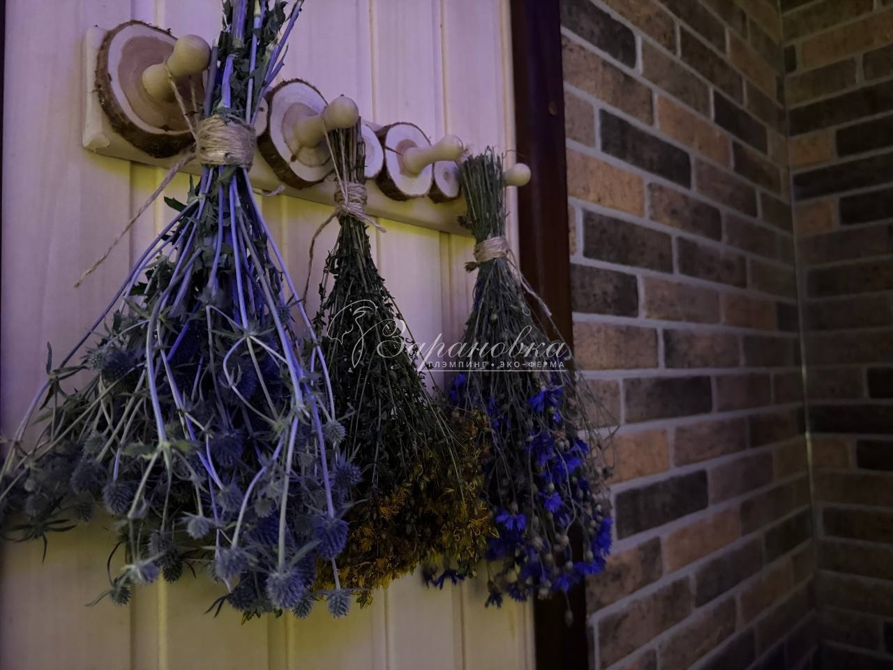 Аренда большой бани с дровяной печью на час на природе в городе Коломна, фото 3, стоимость: 6 000 руб.