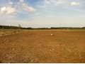 МОЖАЙСКОЕ ШОССЕ. 120 км, д. Никитино. Продаются земельные участки в городе Можайск, фото 2, стоимость: 15 000 руб.