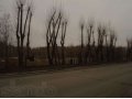 Земельный участок в городе Пермь, фото 2, стоимость: 10 000 000 руб.