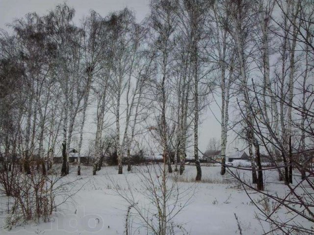 Чернолучье. Участок в курортной зоне. в городе Омск, фото 3, Омская область