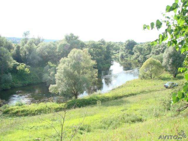 Лисенки
