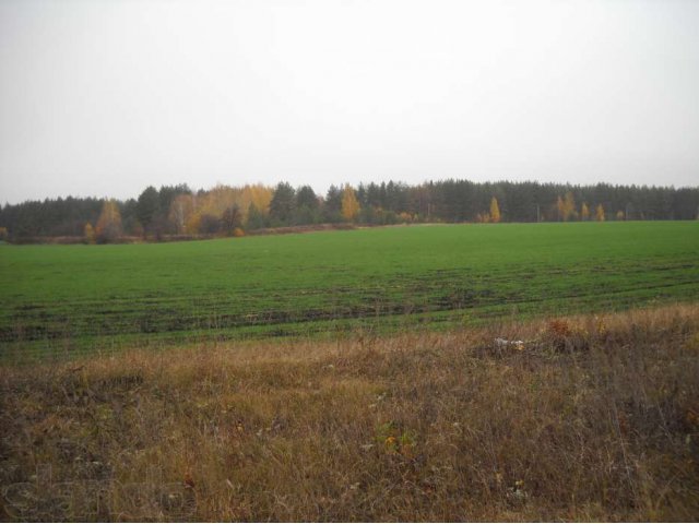 земельный участок 50 соток в селе Старое Дубовое в городе Липецк, фото 1, Продажа земли под индивидуальное строительство