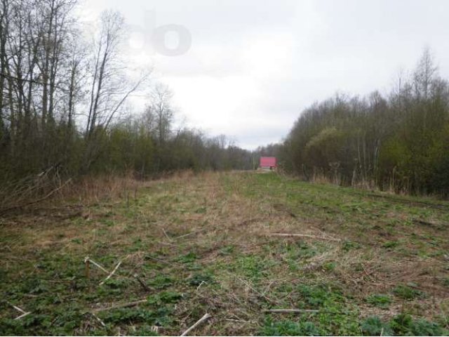 Участок на первой линии реки Сясь в городе Волхов, фото 2, Продажа земли под индивидуальное строительство
