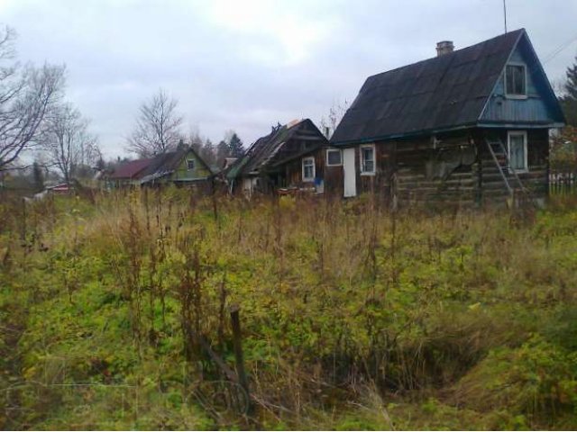 Продам участок п. Сусанино 8 соток в собственности в городе Вырица, фото 2, Продажа земли под индивидуальное строительство