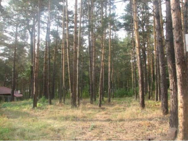 Купить Земельный Участок В Новосибирске Заельцовский Район